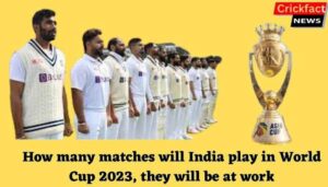 How many matches will India play in World Cup 2023, they will be at work